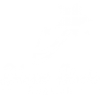 2歳から通える英会話スクール BLUE STAR｜多磨霊園・東府中・武蔵野台